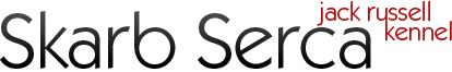 Skarb Serca